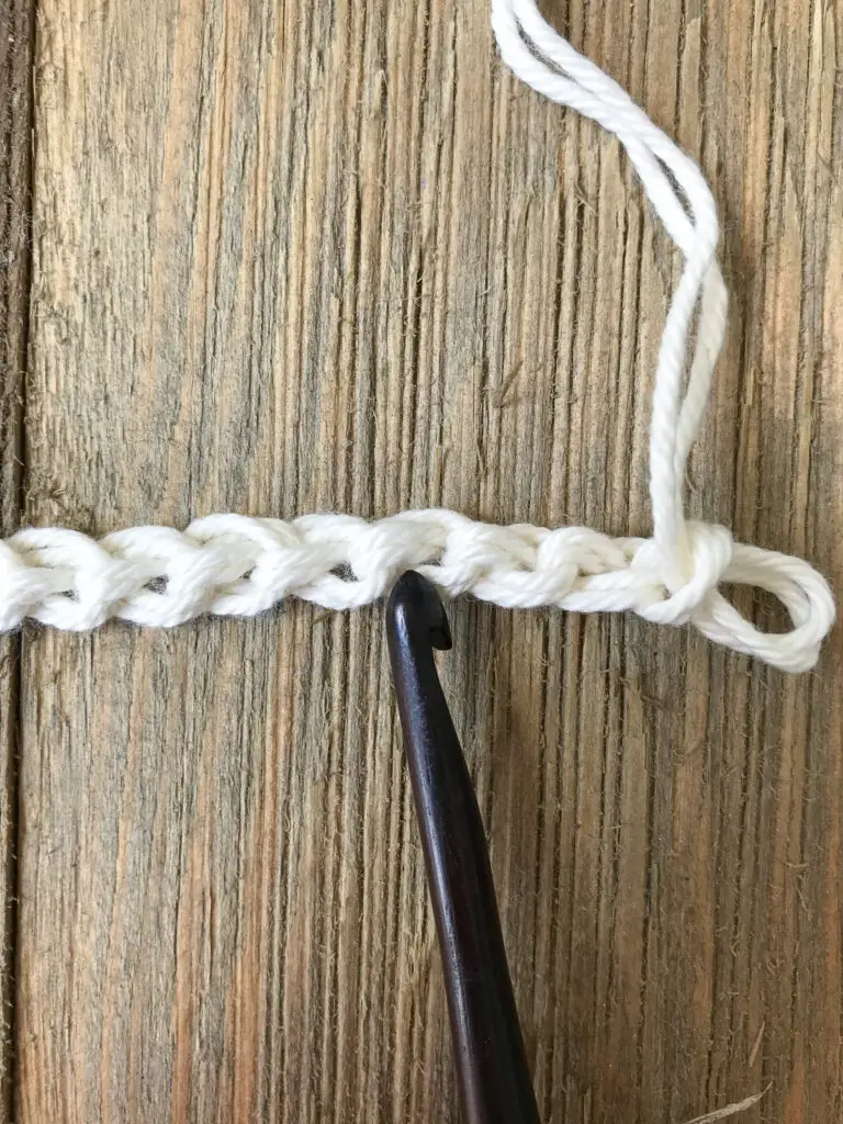 Crochet into the back bump of the chain.