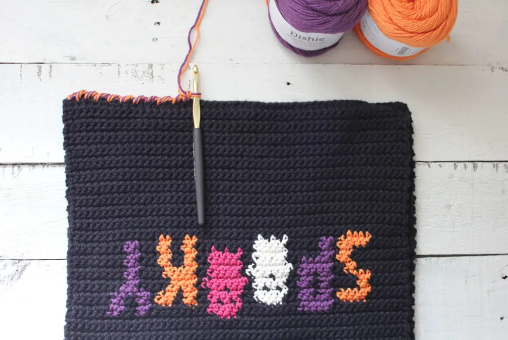 Reverse Single crochet boarder (aka Crab stitch)