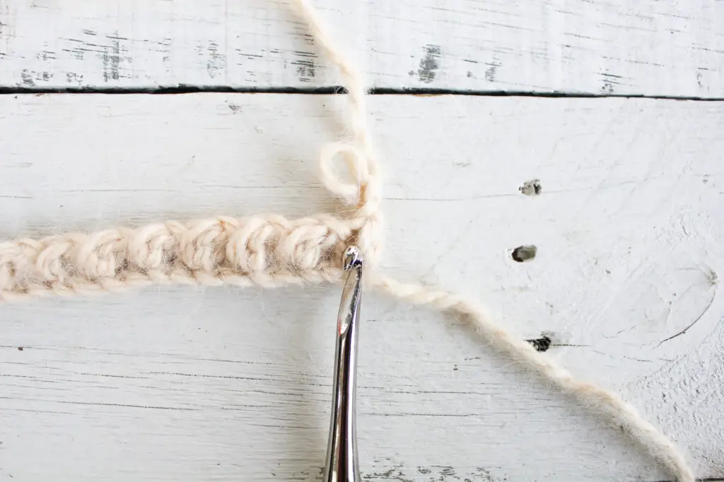 Insert hook into the V to make the first mini bean stitch