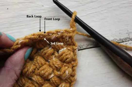 Location of 3rd loop of the hdc